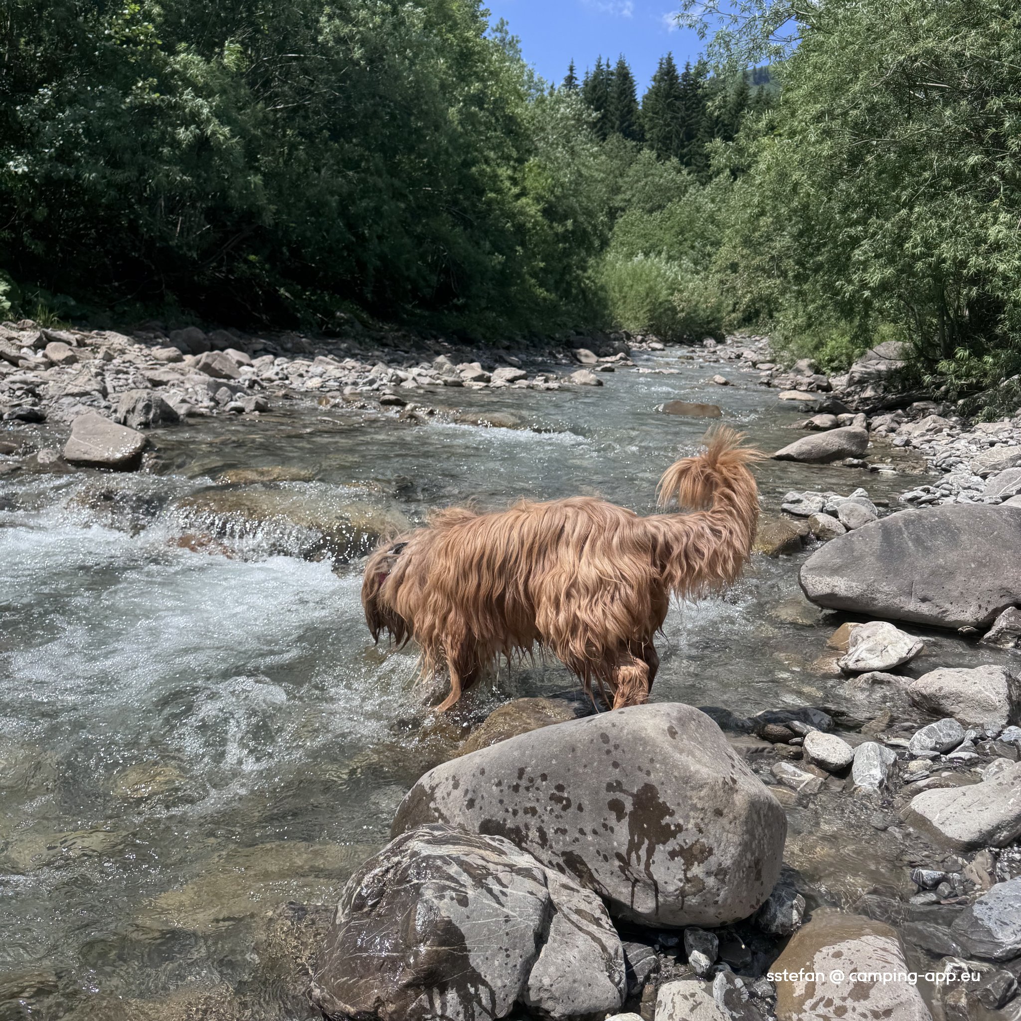 Camping Vorderboden — Foto 2