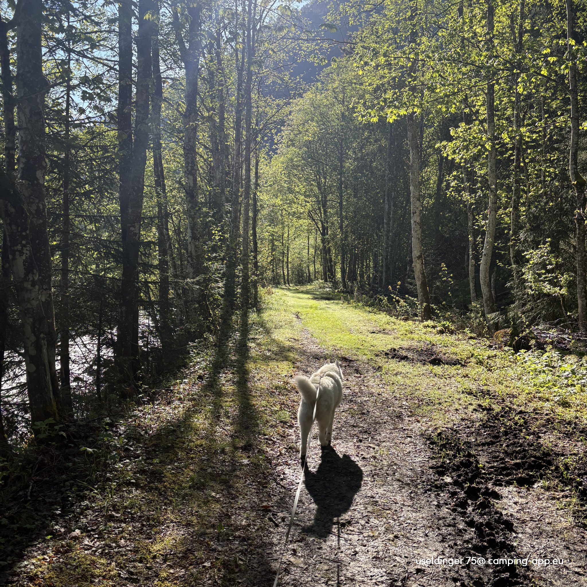 Camping Vorderboden — Foto 4