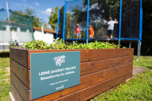 Camping Pullmann — Photo 4