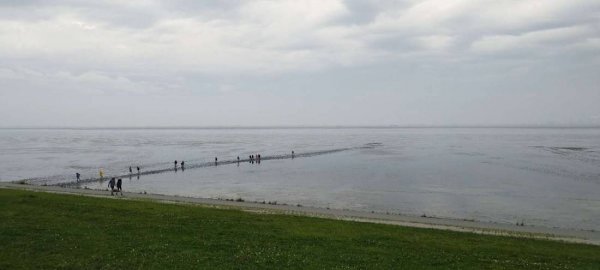 Camping am Deich Nordsee — Foto 3