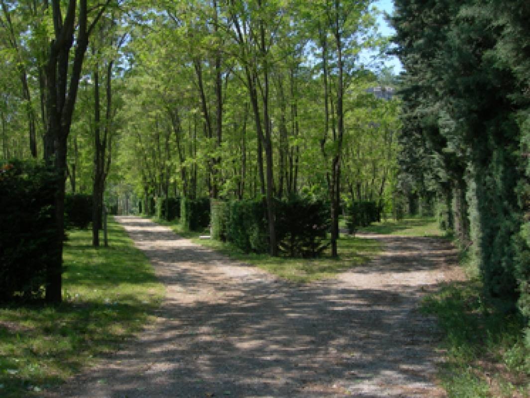 Falaise Camping — Kamp yeri in Balazuc