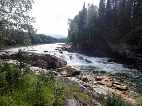 Storforsen Camping — Photo 2