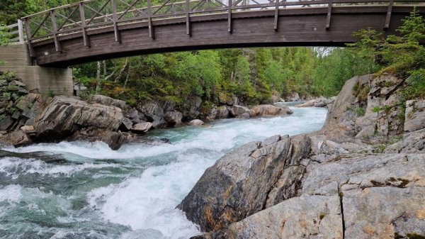 Svenningdal Camping — Photo 4