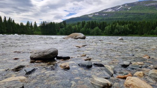 Svenningdal Camping — Photo 3