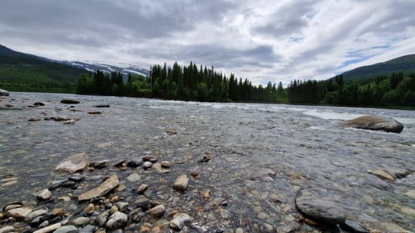 Svenningdal Camping — Photo 2