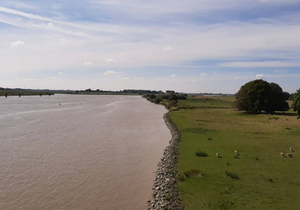 Ems-Marina-Camping — Photo 5