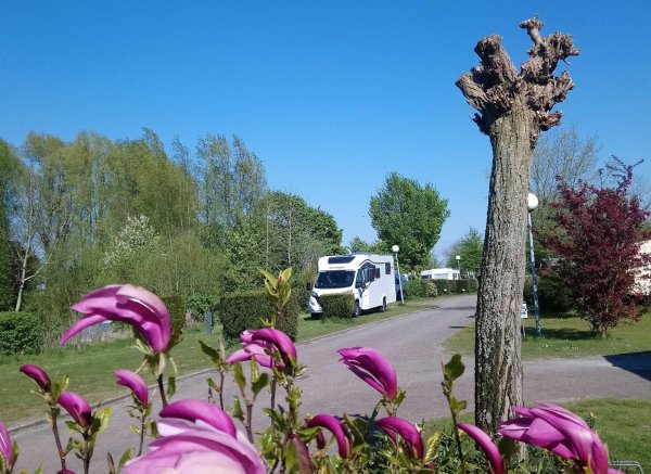 Ems-Marina-Camping — Photo 6