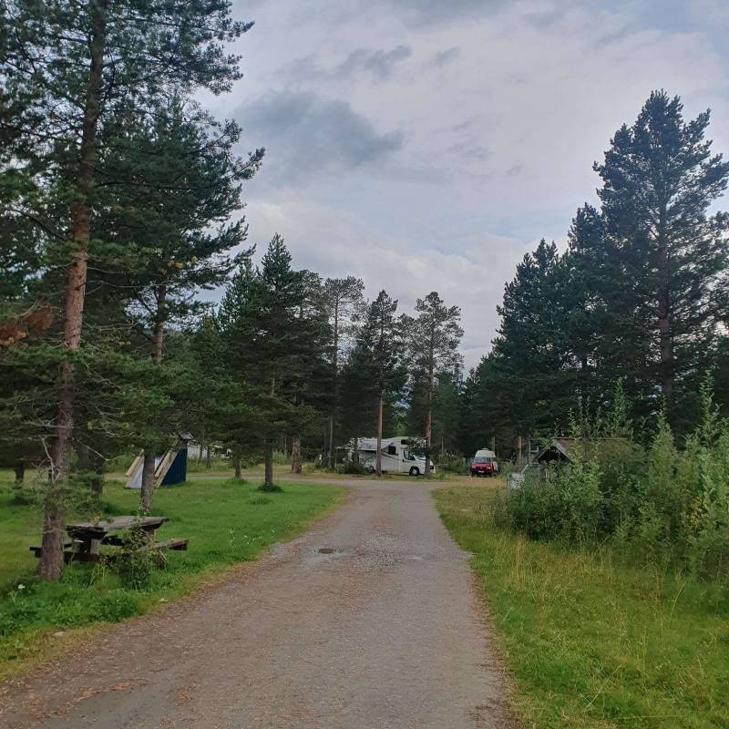 Elvmøthei Fjellgård — Campingplads in Mo i Rana