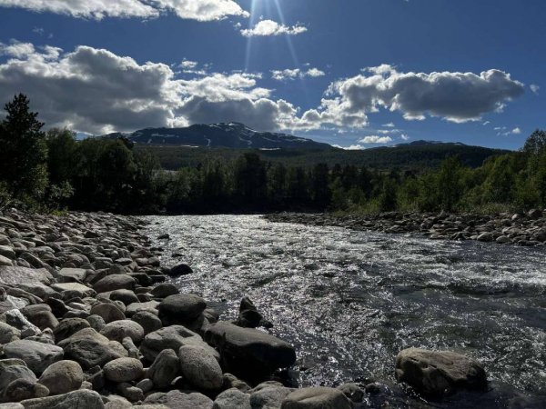 Elvmøthei Fjellgård — Photo 4