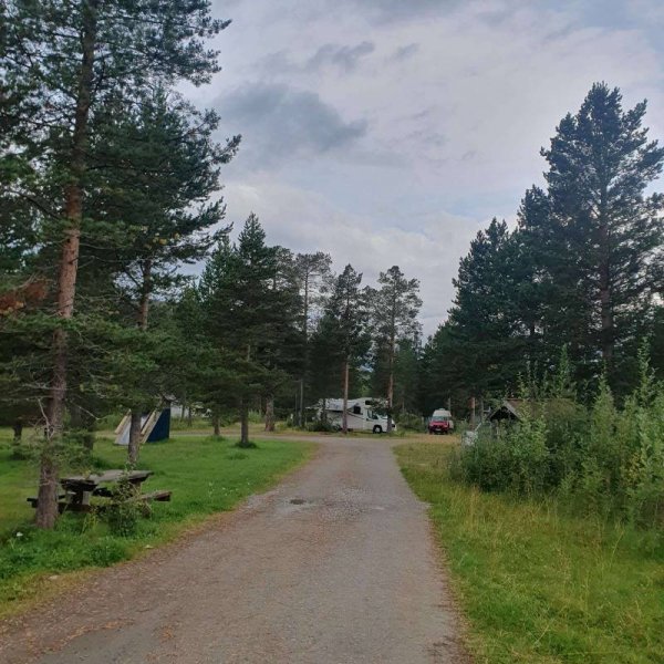 Elvmøthei Fjellgård