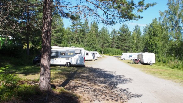 Junsele Djurpark Camping & Stugby — Photo 3