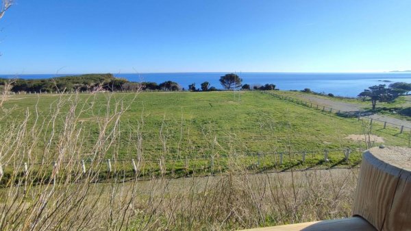 Stellplatz Cerbere — Photo 3