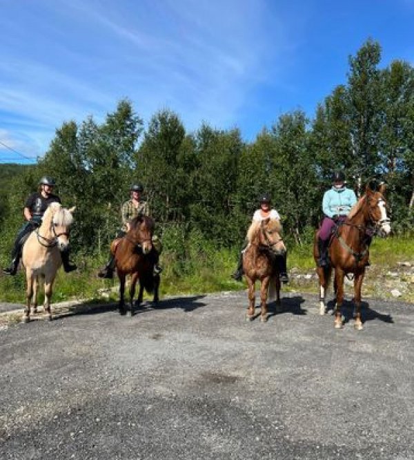 Øse Camping — Photo 3