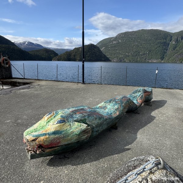 Stellplatz Nesflaten — Photo 4