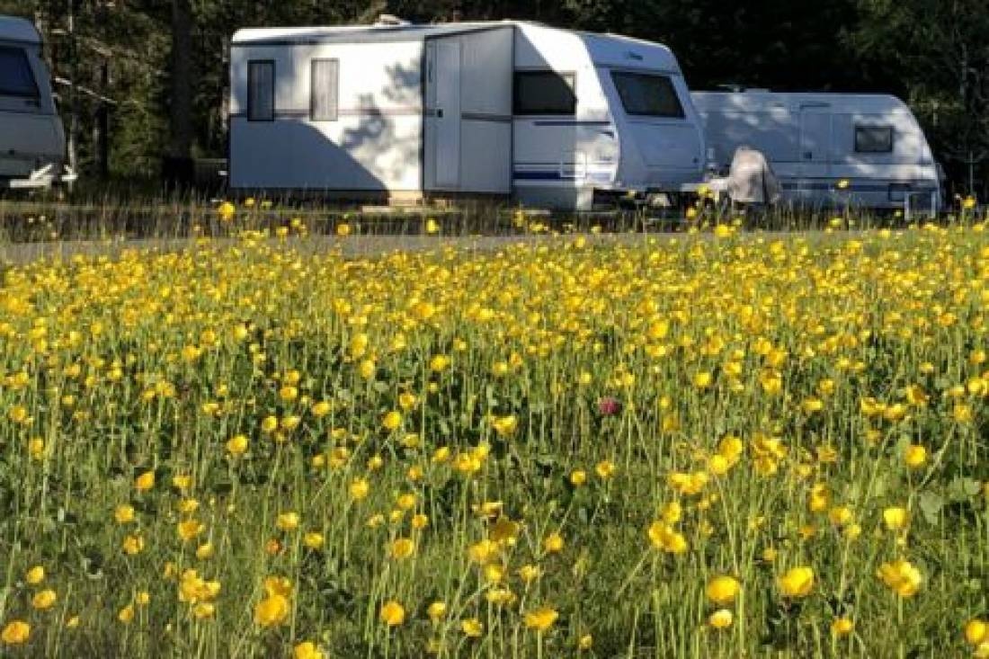 Lygna Camp — Campingplads in Gran