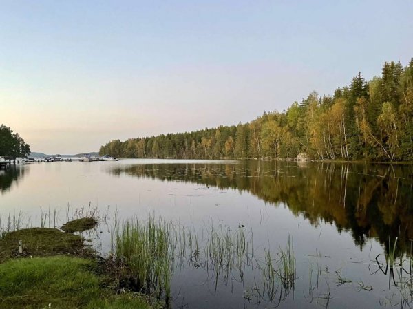 Stora Lee Camping — Photo 3