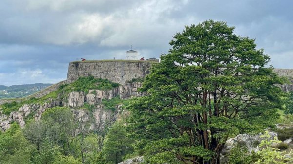 Fredriksten Camping — Photo 4