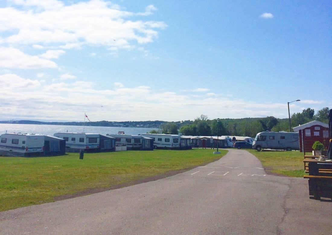 Borre Familiecamping — Campingplads in Borre