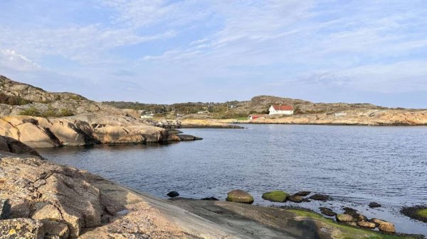 Brunvall Gård — Foto 3