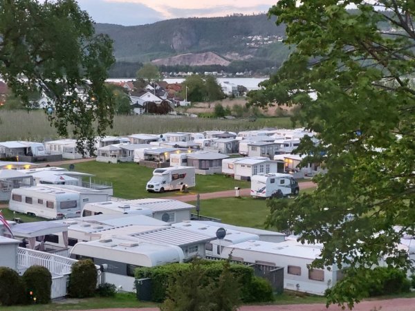 Homannsberget Camping — Photo 2