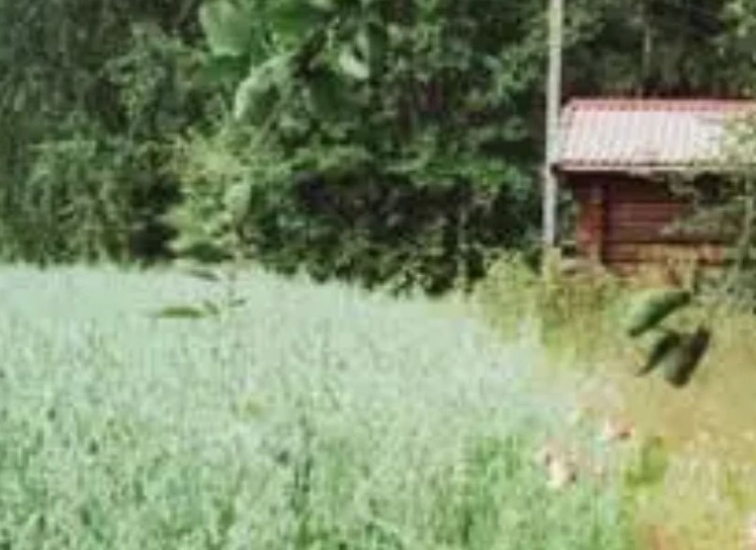 Midtkil Camping — Місце для кемпінгу in Hegra