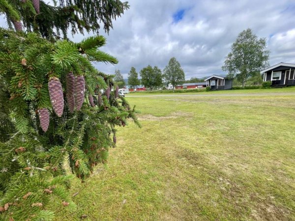 Flåt Camping — Photo 2