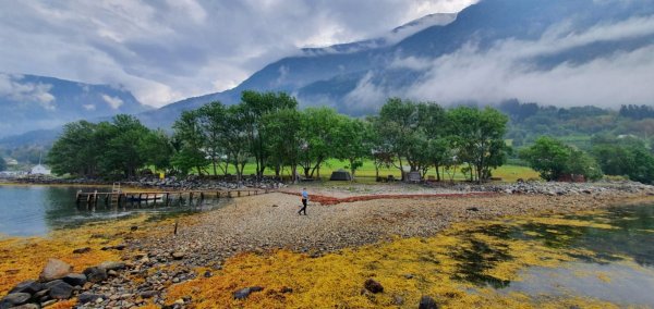 Ringøy Camping — Photo 2