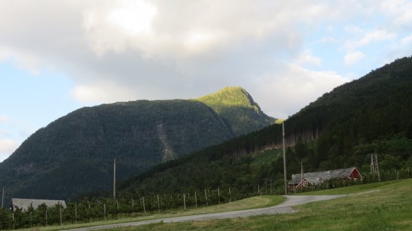 Ringøy Camping — Photo 4