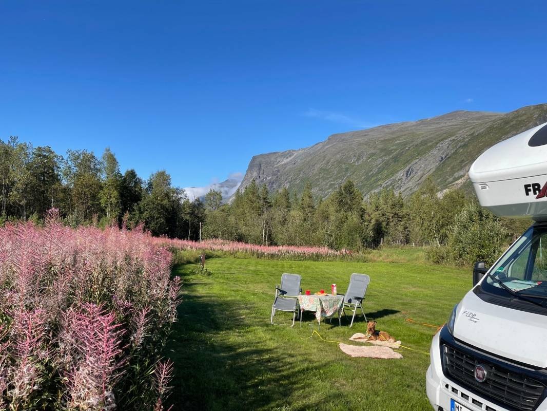Tørfoss Fiskecamp — Kemping in Storslett