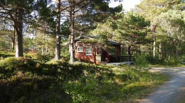 Byskogen Camping — Photo 3