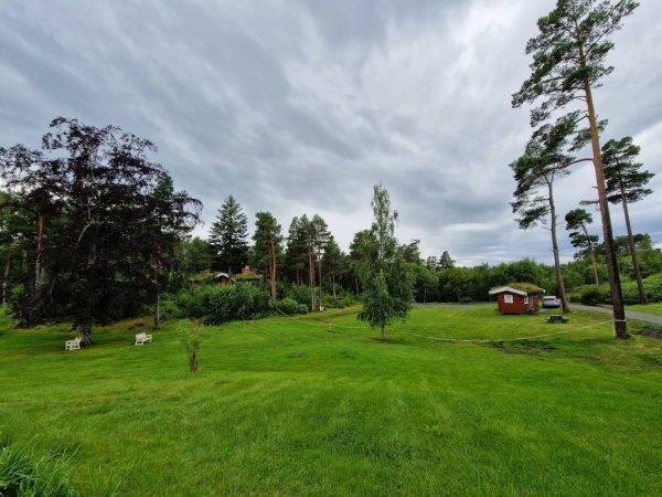 Byskogen Camping — Photo 2