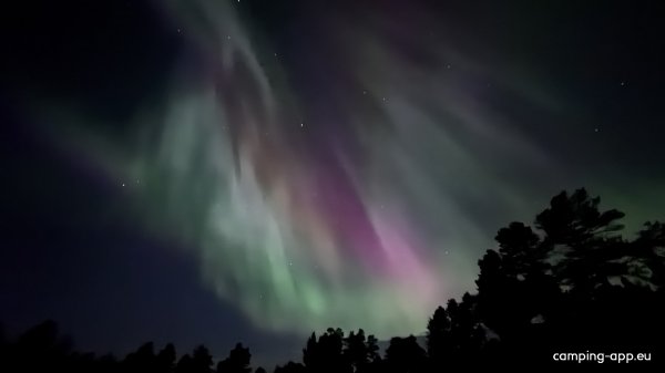 Byskogen Camping — Photo 4