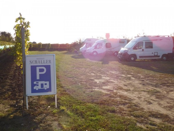Weingut Schaller — Photo 5