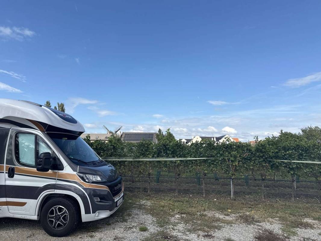 Weingut Schaller — Winiarnia in Podersdorf am See