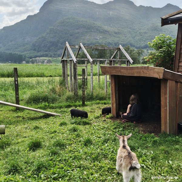 Veen Gardscamping — Photo 5