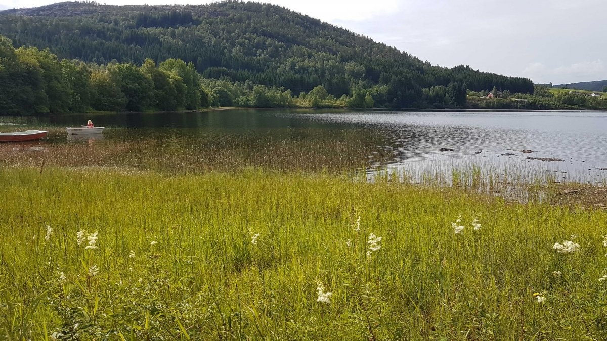 Birkeland Camping — Campingplads in Hyllestad