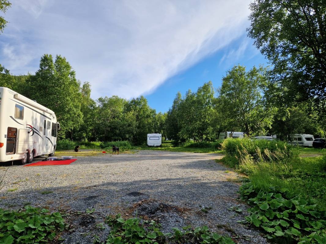 Geitvågen Bad & Camping — Campingplatz in Bodø