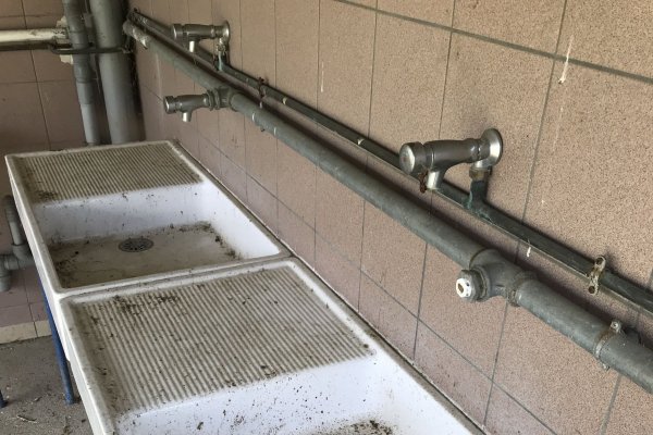 Camping-car Park Villebernier — Photo 3