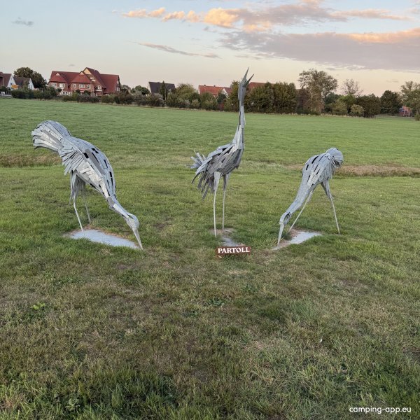 Campingplatz Tiemanns Hof — Photo 3