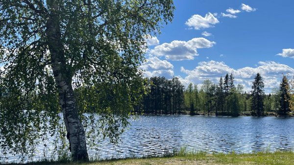 Sorsele Camping — Photo 2