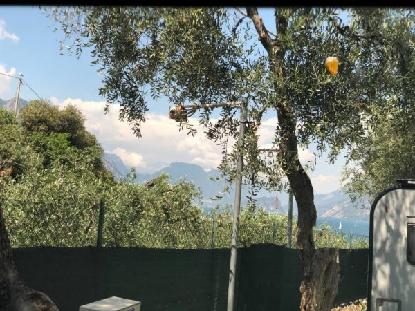Camping Lombardi ** — Foto 5
