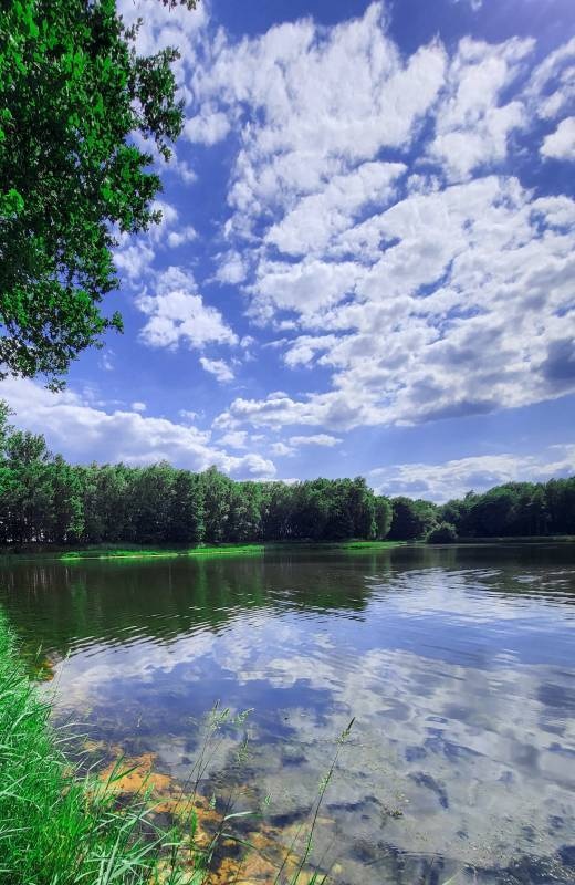 Stellplatz am Erikasee Esterwegen — Campervan Site in Esterwegen