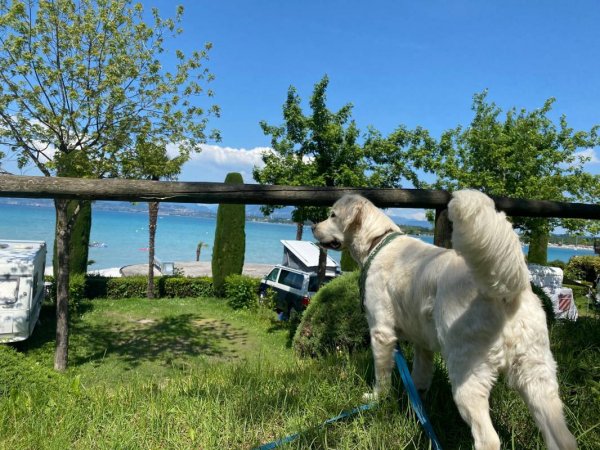 Camping Cappuccini **** — Foto 4