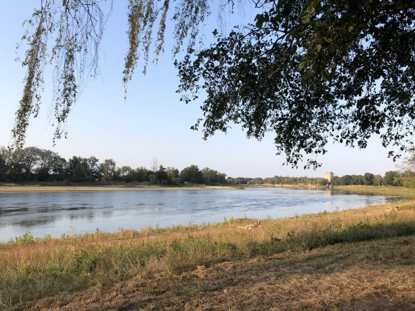 Seesportverein Dessau e.V. — Photo 3