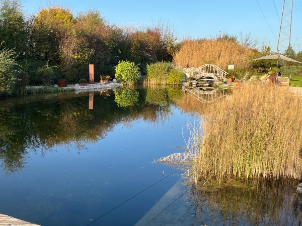 Kur- und Feriencamping Max 1 — Photo 4