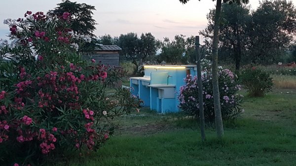 Agrisosta ORTICILLO — Photo 3