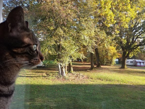 Postern Hill Campsite — Camping in Marlborough