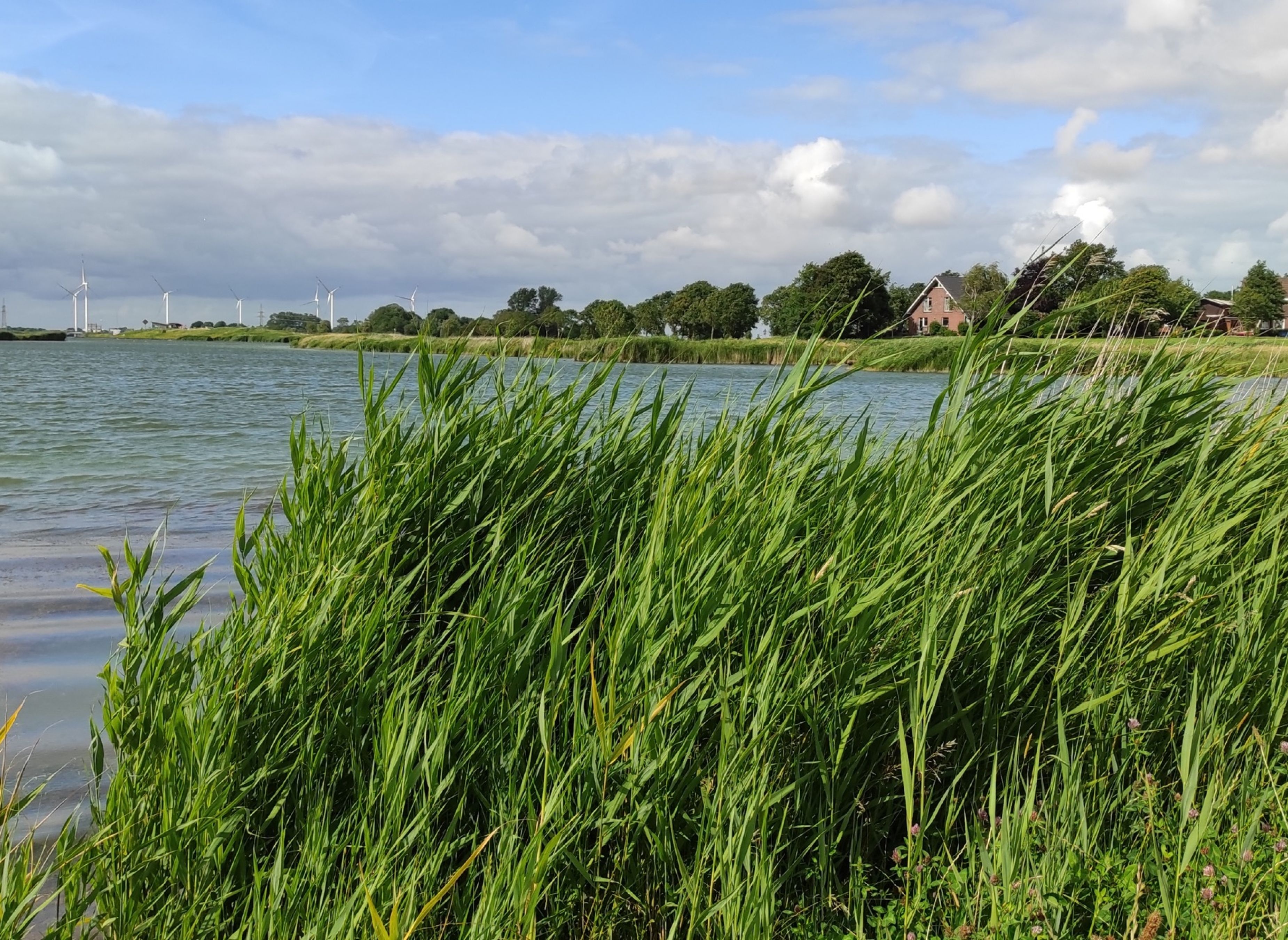Stellplatz am Wangermeer — Місце для кемперів in Wangerland