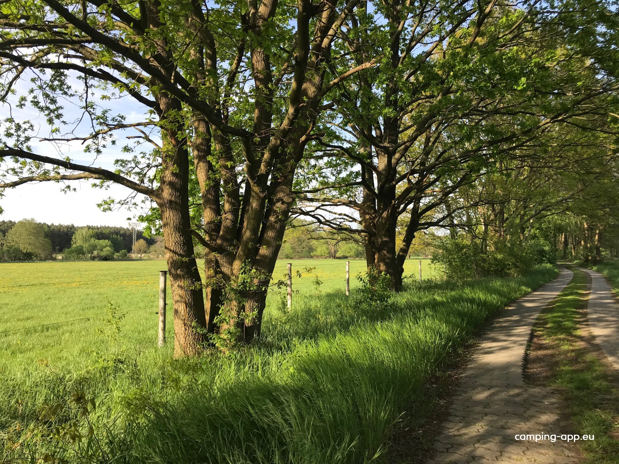 Erlebniscamping Lausitz — Zdjęcie 5