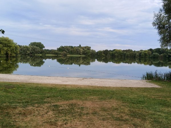 Sander See Sande — Photo 3